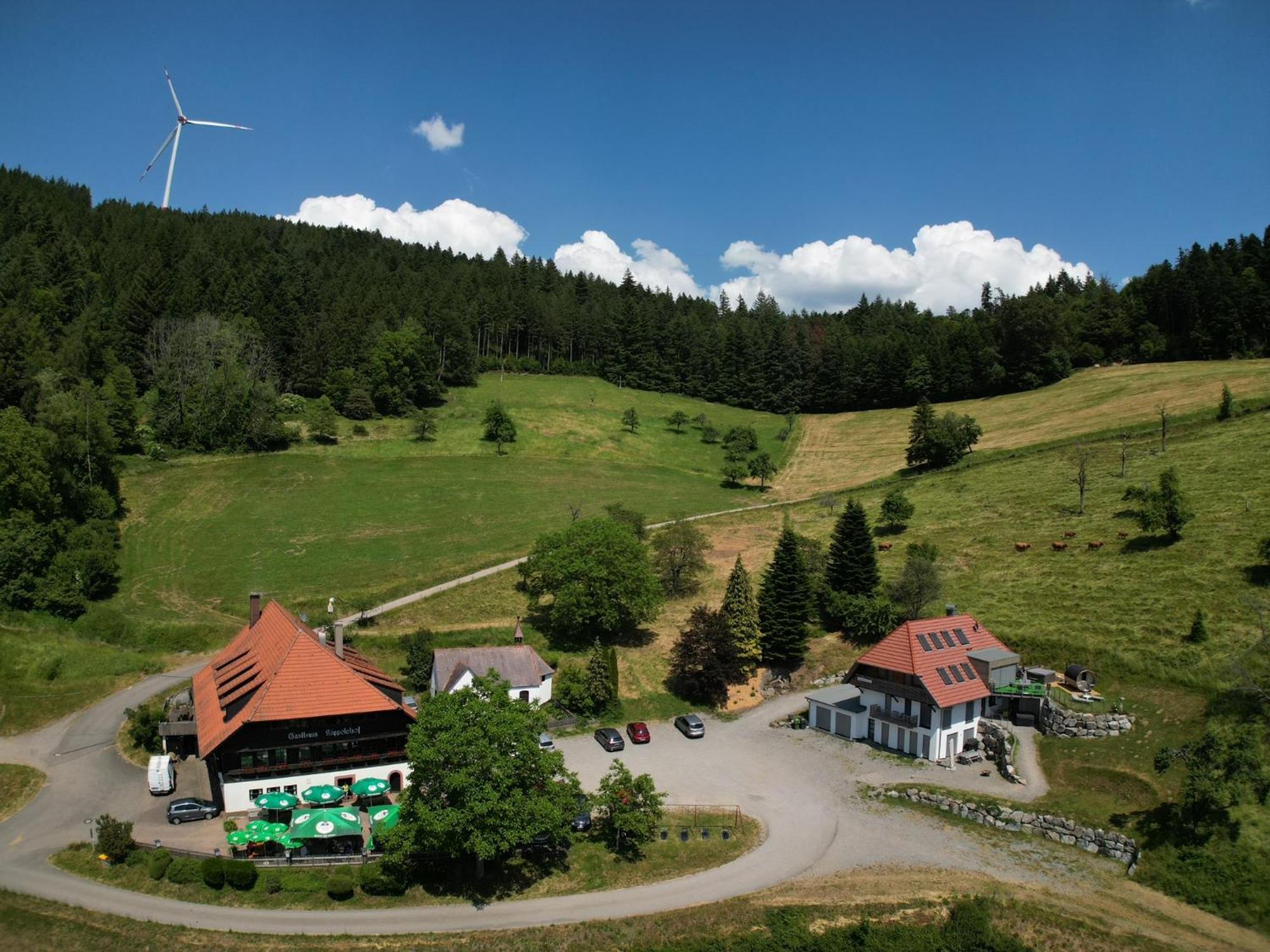 Ferienhaus Wendelinus Mit Pool & Sauna Hausach Buitenkant foto